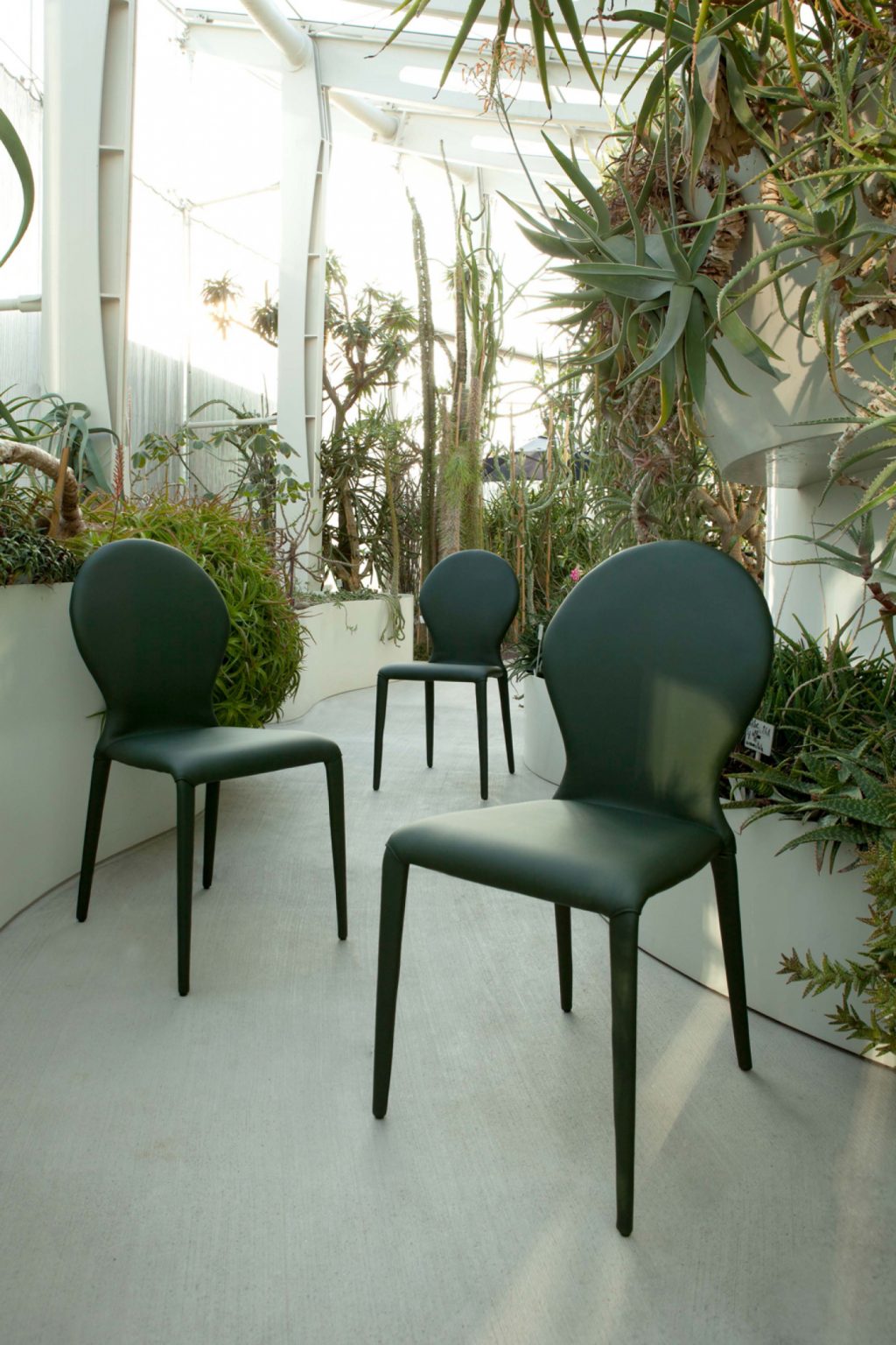 Zar Luxury Chair - Set of 2