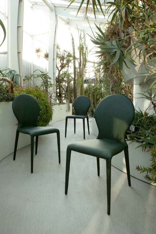 Zar Luxury Chair - Set of 2