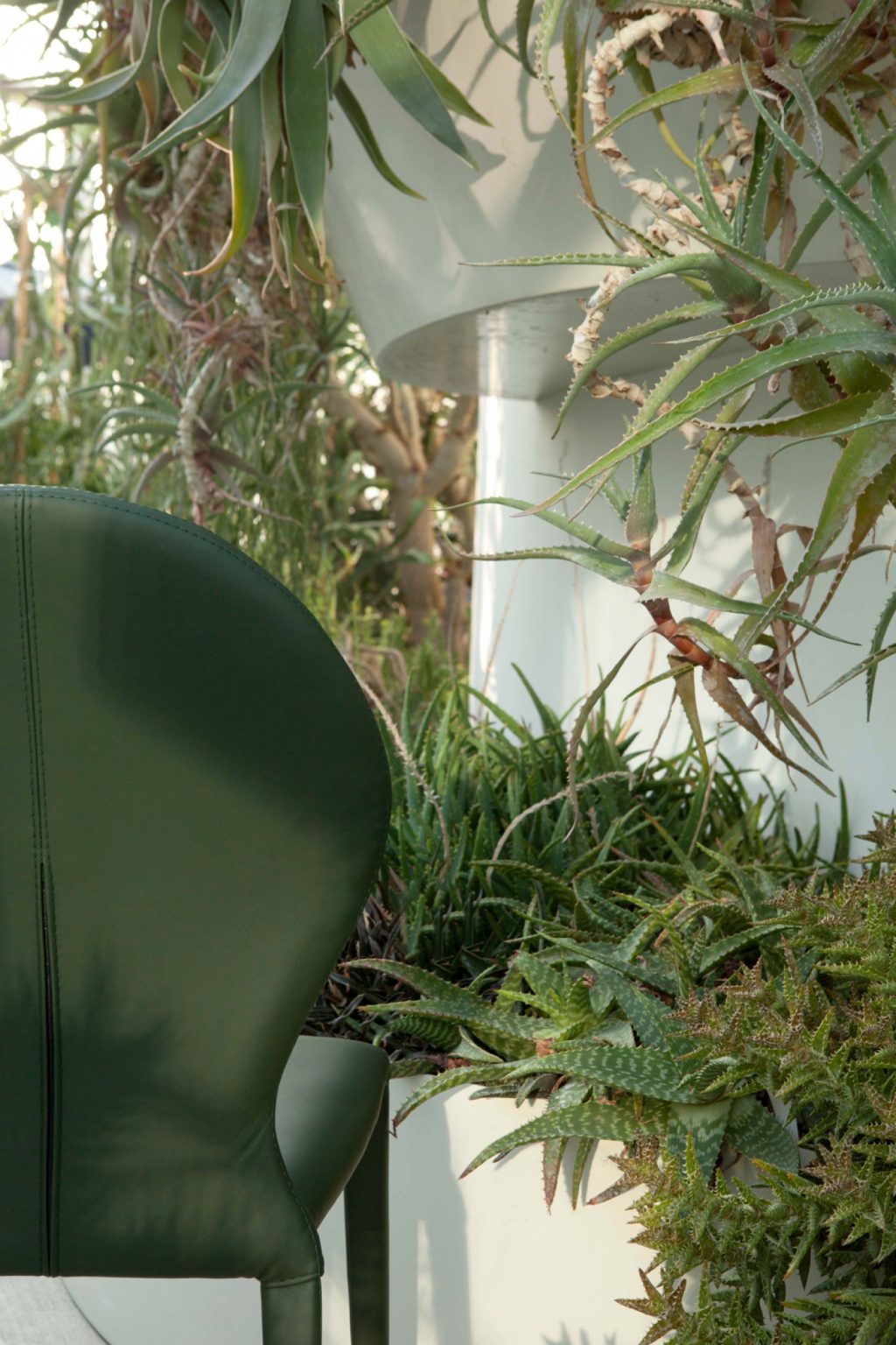 Zar Luxury Chair - Set of 2