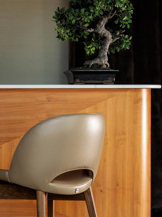 Beetle Wood  Stool
