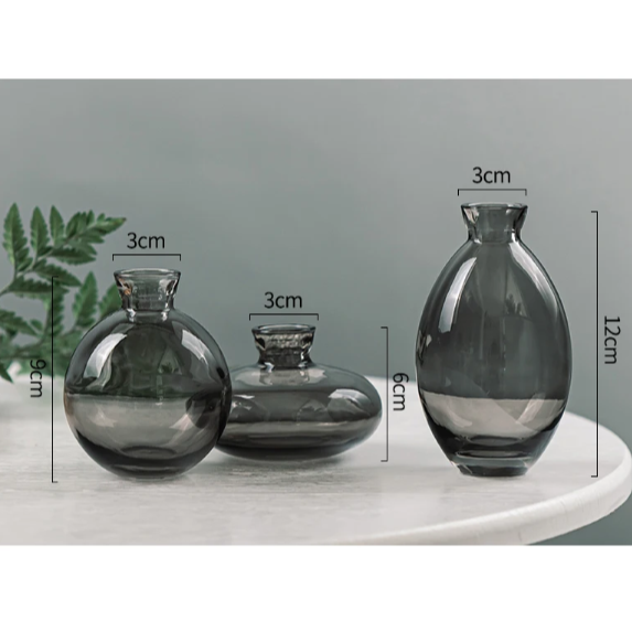 Set of 3 Stylish Reagent Bottle Flower Vases - Goraya Nesting 